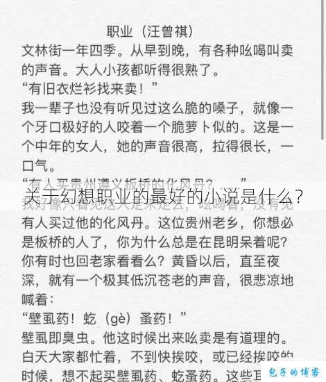 关于幻想职业的最好的小说是什么？ 第1张