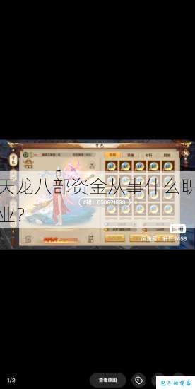 天龙八部资金从事什么职业？ 第1张