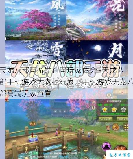 天龙八部网游发布网玩家体会 -天龙八部手机游戏大老板玩家，手机游戏天龙八部高端玩家查看 第1张