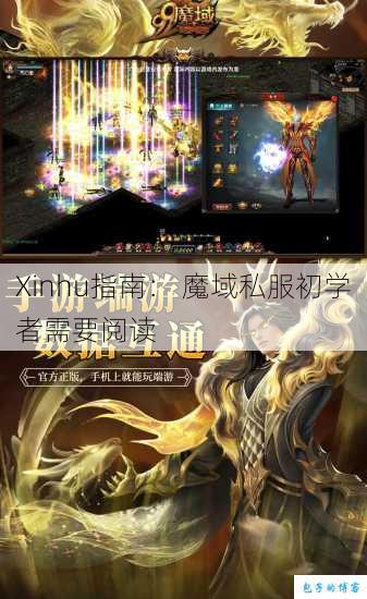 Xinhu指南: 魔域私服初学者需要阅读 第1张 Xinhu指南: 魔域私服初学者需要阅读 第1张