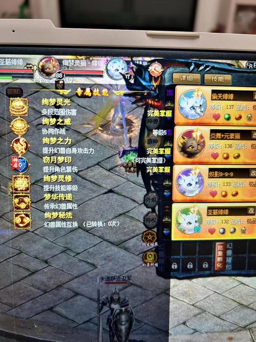 飞魔域sf：亡灵职业改变游戏玩法 第4张