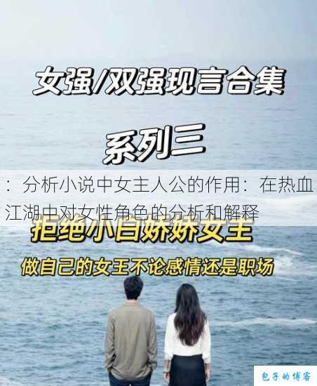 ：分析小说中女主人公的作用：在热血江湖中对女性角色的分析和解释 第1张