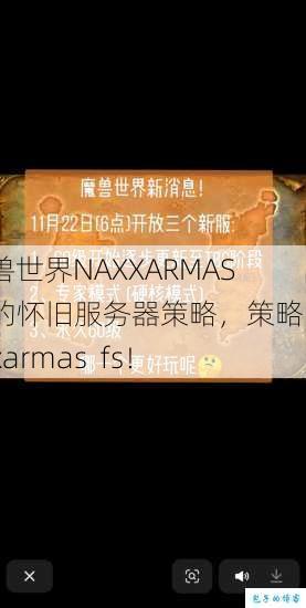 魔兽世界NAXXARMAS FS的怀旧服务器策略，策略：naxxarmas fs！ 第1张