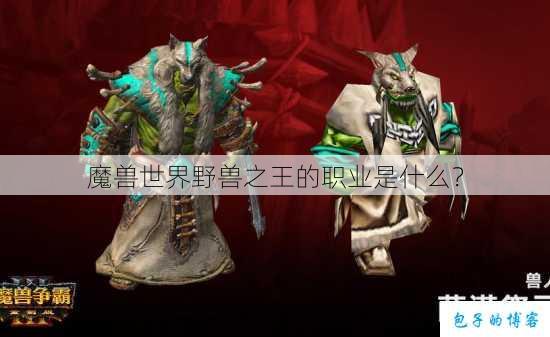 魔兽世界野兽之王的职业是什么？ 第1张