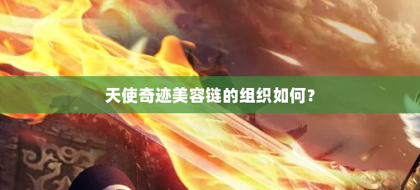 天使奇迹美容链的组织如何？ 第1张