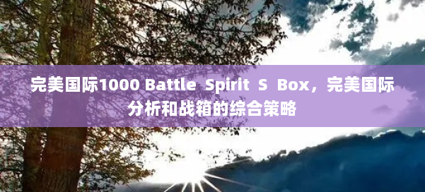 完美国际1000 Battle Spirit S Box，完美国际分析和战箱的综合策略 第1张