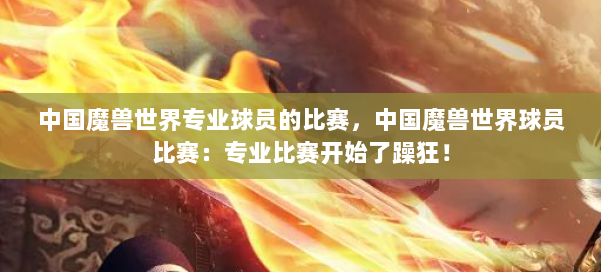 中国魔兽世界专业球员的比赛,中国魔兽世界球员比赛:专业比赛开始了躁狂! 第3张 中国魔兽世界专业球员的比赛,中国魔兽世界球员比赛:专业比赛开始了躁狂! 第3张