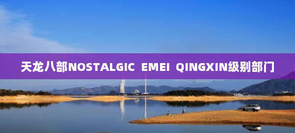 天龙八部NOSTALGIC EMEI QINGXIN级别部门
