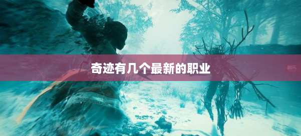 奇迹有几个最新的职业 第3张