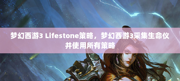 梦幻西游3 Lifestone策略，梦幻西游3采集生命仪并使用所有策略 第1张