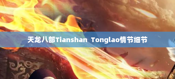 天龙八部Tianshan Tonglao情节细节 第3张