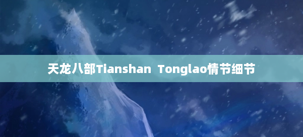 天龙八部Tianshan Tonglao情节细节 第1张