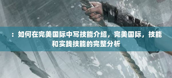 ：如何在完美国际中写技能介绍，完美国际，技能和实践技能的完整分析