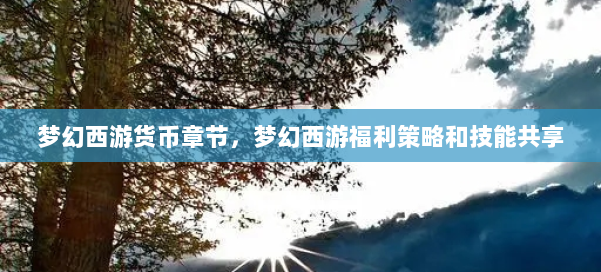 梦幻西游货币章节，梦幻西游福利策略和技能共享 第2张