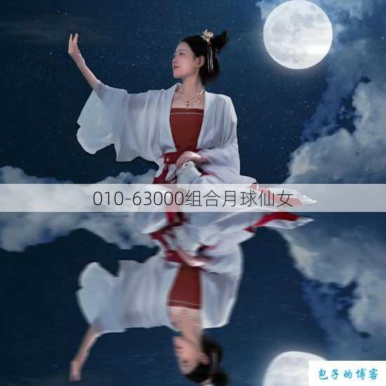 010-63000组合月球仙女 第1张