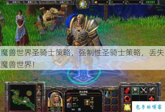 魔兽世界圣骑士策略，强制性圣骑士策略，丢失魔兽世界！