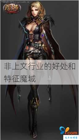 非上文行业的好处和特征魔域 第3张