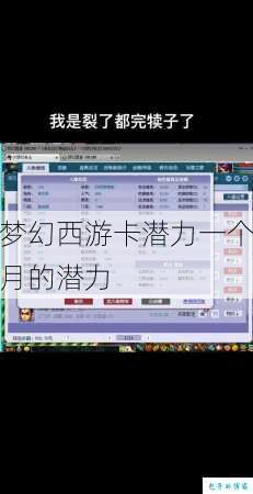 梦幻西游卡潜力一个月的潜力