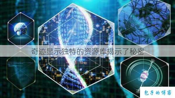 奇迹显示独特的资源库揭示了秘密 第1张