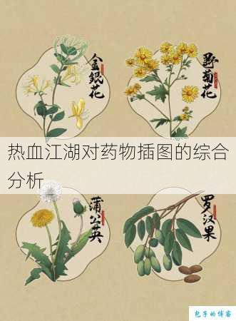 热血江湖对药物插图的综合分析 第1张 热血江湖对药物插图的综合分析 第1张
