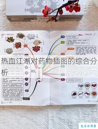 热血江湖对药物插图的综合分析 第2张 热血江湖对药物插图的综合分析 第2张