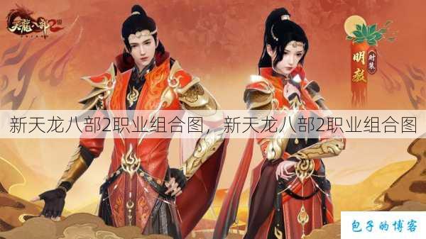 新天龙八部2职业组合图，新天龙八部2职业组合图 第1张
