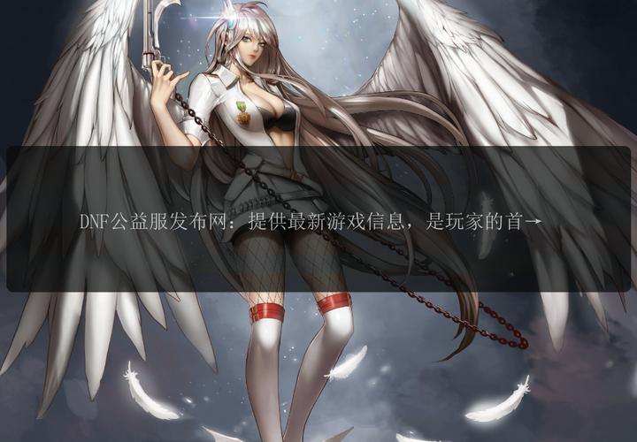 DNF公益服发布网究竟是什么？安全性如何？玩家必看 第2张