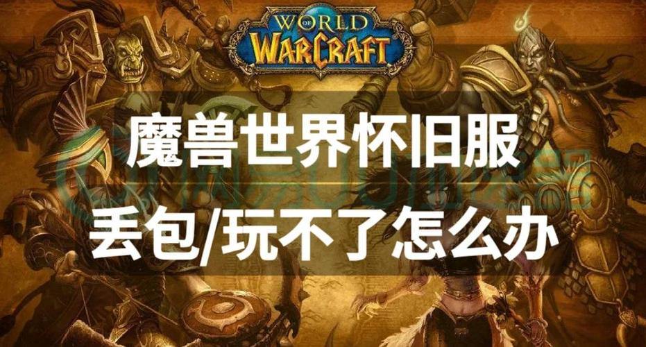 聊聊魔兽世界私服那些事儿：安全隐患与卡顿问题你知道吗？ 第2张