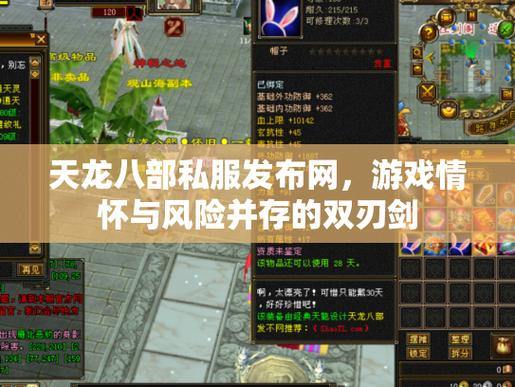 天龙八部公益私服发布网靠谱吗？使用方法及注意事项全解析 第4张