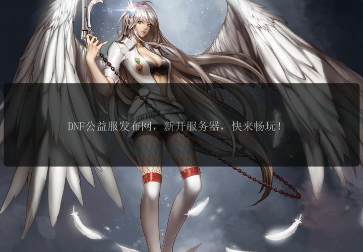 DNF公益服发布网全解析,如何找靠谱的发布网来玩? 第3张 DNF公益服发布网全解析,如何找靠谱的发布网来玩? 第3张