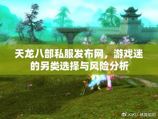 天龙八部公益私服最佳出版物网站是什么？您如何看到安全问题？请接受这些建议 第1张