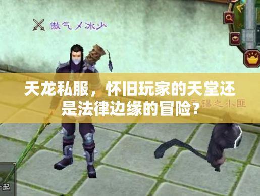 深入分析天龙SF：操作主题和稳定性之间的差异，帮助玩家解决问题