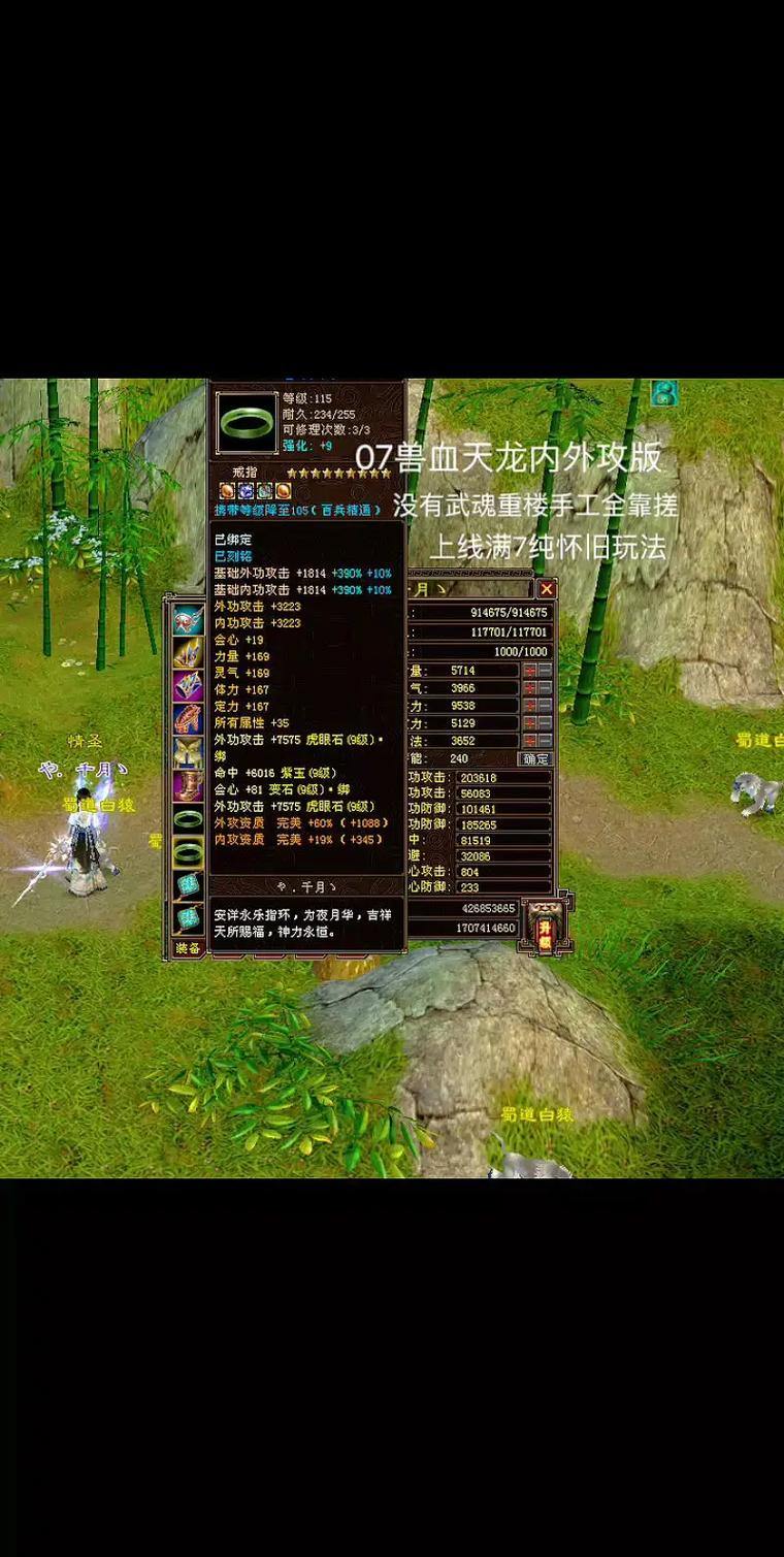 天龙私服好玩吗？玩家看法不一，这些特色玩法你知道吗？ 第4张