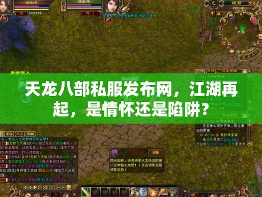 天龙八部公益私服发布网那些事儿，你知道多少？快来了解 第3张