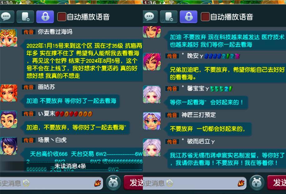 梦幻私服玩家必看！挑选服务器及相关实用办法全解析 第3张