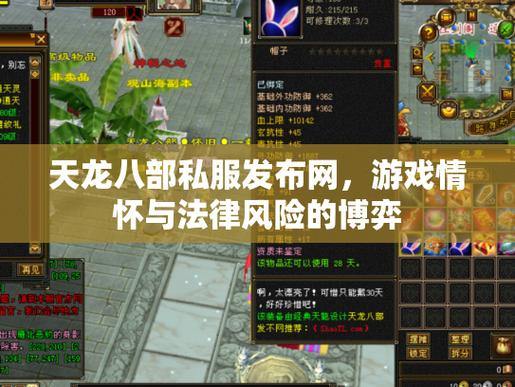 天龙八部sf解析：私服版本特点、玩法与风险，玩家必看 第4张