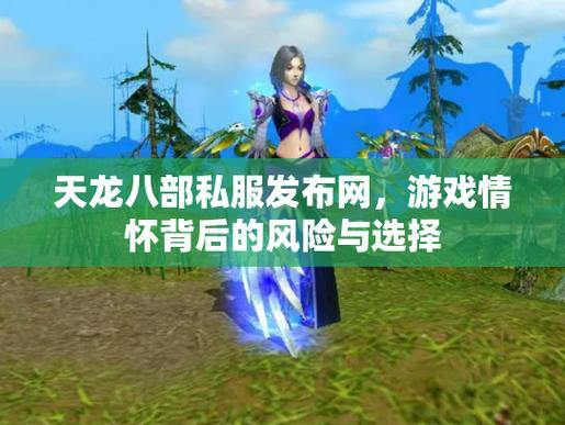 天龙八部公益私服体验：非官方游戏的风险与吸引力分析 第2张