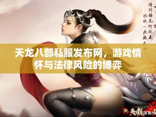 天龙八部SF风险解析：法律隐患与隐私危机，玩家必看避坑指南 第2张