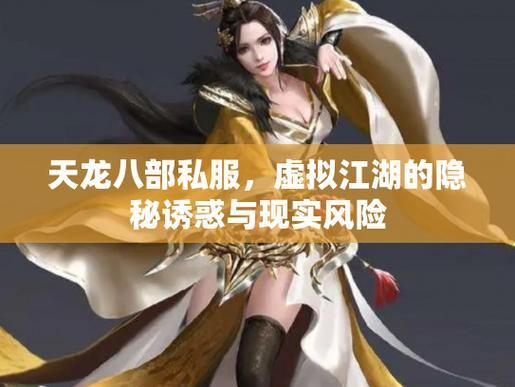 天龙八部公益私服体验：快速变强与免费诱惑，背后隐藏哪些风险？ 第4张