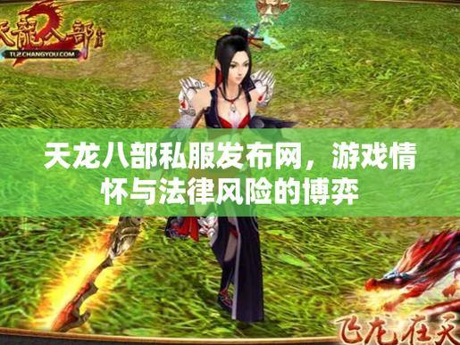 天龙八部SF：非官方服务器的独特魅力与玩法优势解析 第4张