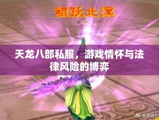 天龙八部公益私服靠谱吗？深度分析利弊与风险 第4张