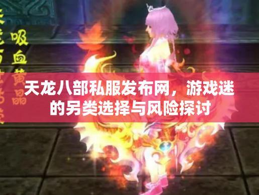 天龙八部公益私服解析：什么是私服？资源福利与合规风险 第3张