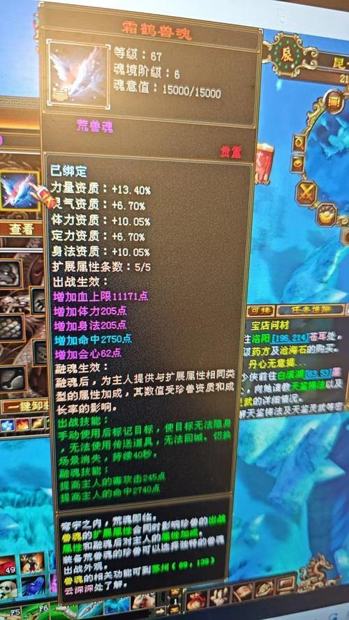 天龙私服玩家常见难题大揭秘，福利道具背后隐藏啥实情？ 第4张