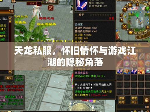 天龙八部公益私服：自由乐趣vs官方限制？玩家必看指南