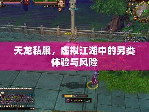 天龙八部公益私服揭秘：独特体验、门道与风险分析 第2张