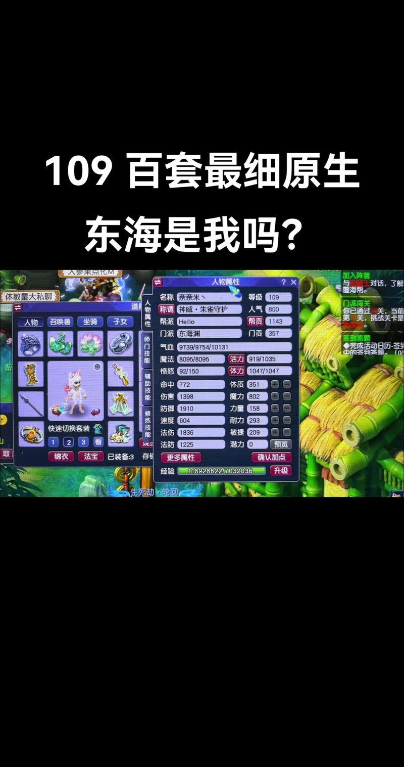 梦幻西游私服是啥？咋操作进入？寻找它真像大海捞针 第2张