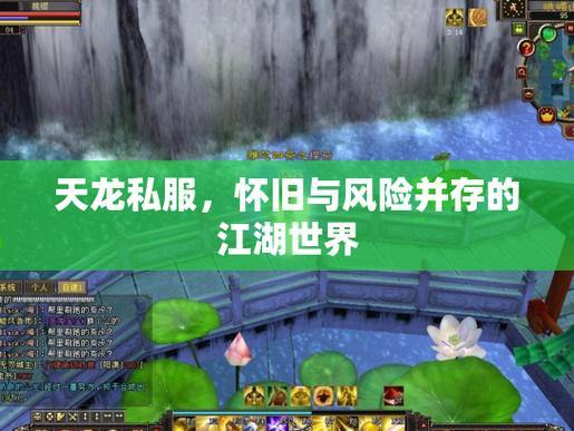 天龙sf是什么？玩家尝试需谨慎，特色与问题并存 第4张