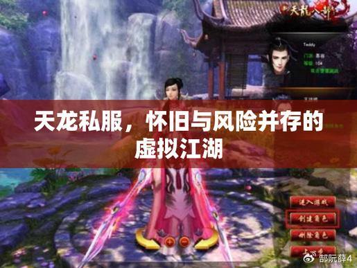 天龙八部公益私服揭秘：优势、风险与玩家指南 第2张