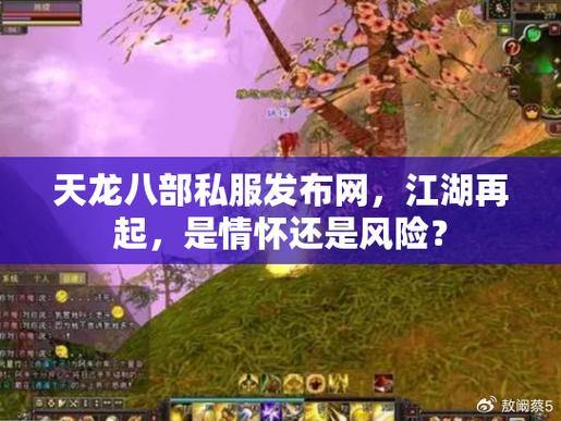 天龙八部公益私服是什么?好处、风险全解析,玩家必看 第4张 天龙八部公益私服是什么?好处、风险全解析,玩家必看 第4张