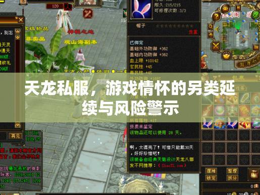 天龙私服是什么？为何有人玩？快来了解其中的门道 第1张